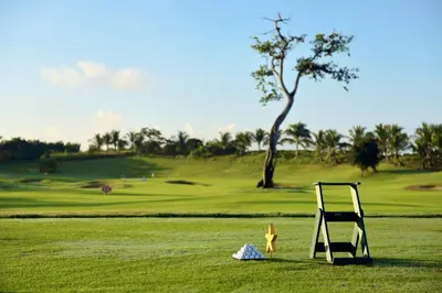 a slide on a golf course with a golf ball at Iberostar Waves Dominicana - All Inclusive in Punta Cana