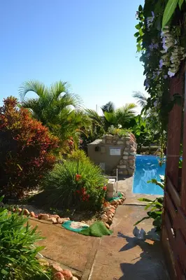 a backyard with a swimming pool and a garden at ECOVILLA CORAL GARDEN in Baoruco