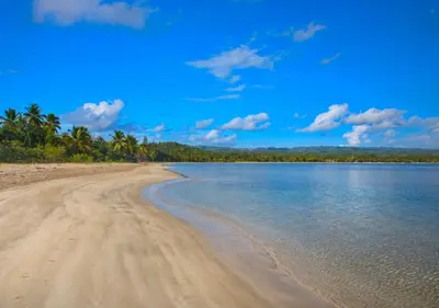 a view of a sandy beach with trees and water at Chaykovski Boutique H in Las Terrenas