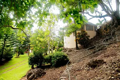 a house on the side of a hill with trees at Estudio Jardín Escondido in Las Galeras