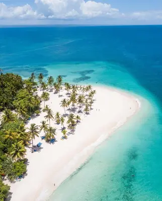 an aerial view of a beach with palm trees and the ocean at Private room in the Boca Chica Resort condominium in Boca Chica