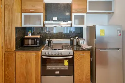 a kitchen with a stove and a refrigerator at Escape Apartments, Balcony, Pool, Gym & Spa in La Julia in Santo Domingo