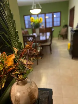 a vase with a plant in a living room at Villa Paloma/ Home/ Office-Remote Office in Constanza