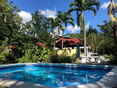 a swimming pool in front of a house with palm trees at Acogedora Casa Rural en plena naturaleza frente al Río con piscina Bonao in Bonao