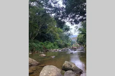 a river with rocks in the water and trees at Acogedora Casa Rural en plena naturaleza frente al Río con piscina Bonao in Bonao