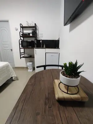 a room with a table with a potted plant on it at La casita de Gazcue in Santo Domingo