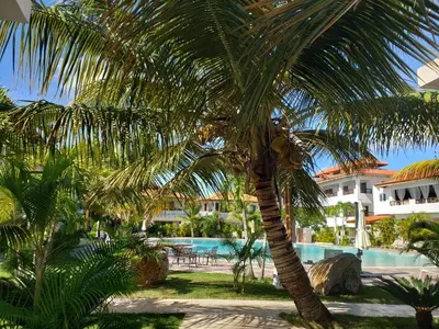 a palm tree in front of a swimming pool at Residencial Paraiso Bayahibe in Bayahibe