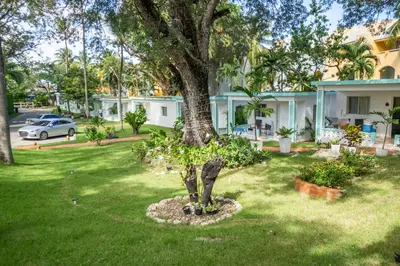 a tree in a yard in front of a house at Bungalow #4 at Waterfront Playa Alicia in Sosúa