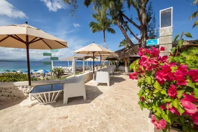 a beach with white chairs and umbrellas and pink flowers at Bungalow #6 at Waterfront Playa Alicia in Sosúa