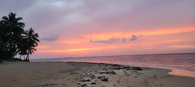 a sunset on a beach with palm trees and the ocean at Playa Turquesa only 50m From the Beach Walk to all Restaurants in Las Terrenas