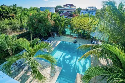 an overhead view of a swimming pool with palm trees at Villa Nilsa ( The Blue House ) in Baní