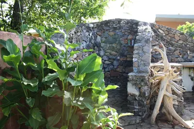 a stone building with a plant in front of it at Palm-covered house in the tropical -Casa Oli in Las Galeras