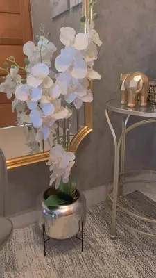 aidium plant in a vase in a room at Self-checking-Fast internet-Alexa-Smart-Tv-AC-Hot Water in Ensanche Ozama