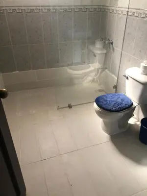 a bathroom with a toilet and a shower at Villa Luz in Baní