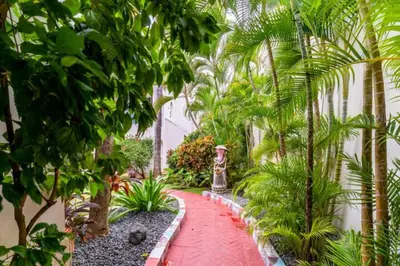 a garden with palm trees and a red pathway at Cozy 2 bdr condo, with pool area and free WIFI in Punta Cana