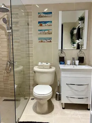 a bathroom with a toilet and a shower at Cozy 2 bdr condo, with pool area and free WIFI in Punta Cana