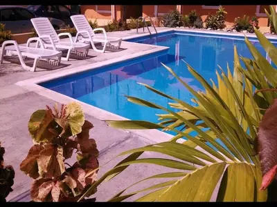 a swimming pool with chairs and a palm tree next to it at Apartahotel Next Nivel - Queen Room with Fan in Punta Cana