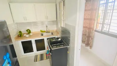 a small kitchen with a stove and a sink at 7DR Apt in Prime Location Near Monumental Area in Santiago de los Caballeros