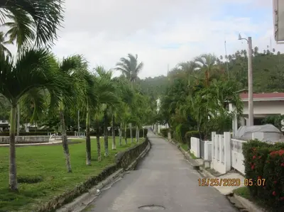 a street lined with palm trees in front of a house at Pelicano Tropical Paraiso Samana in Santa Bárbara de Samaná