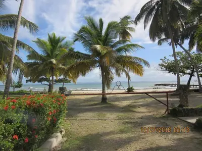 a bench on a beach with palm trees and the ocean at Pelicano Tropical Paraiso Samana in Santa Bárbara de Samaná