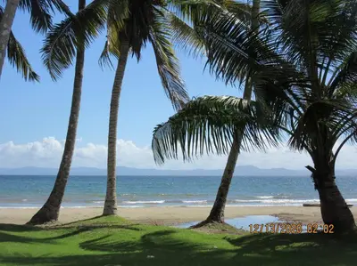 a group of palm trees on a beach with the ocean at Pelicano Tropical Paraiso Samana in Santa Bárbara de Samaná