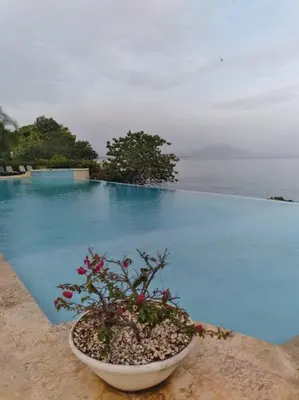 a plant in a bowl next to a swimming pool at Cozy and Luxurious 2 bedroom apartment in Sosúa