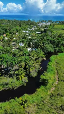 an aerial view of a forested area with a river at Kibayo Lagoon Villa in Cabarete