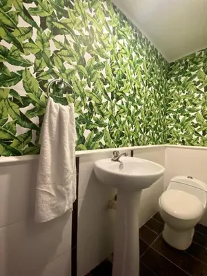 a bathroom with a white sink and a green leafy wall at LEAN LUXURY Santo Domingo in Santo Domingo