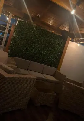 a green hedge in a room with a couch at 3bed Apartment con Terraza y Picsina privada in Santo Domingo