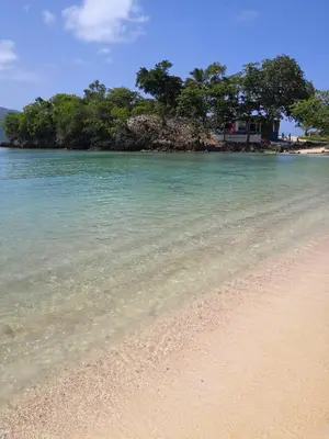 a beach with clear water and trees in the background at Casa A&A in Las Galeras