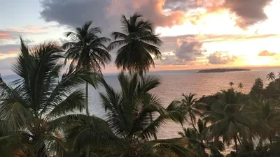 a group of palm trees and the ocean at sunset at Vista Mare Samana The Best View!! in Santa Bárbara de Samaná