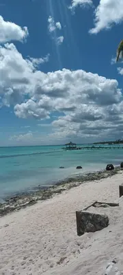 a sandy beach with a view of the ocean at Cadaques Caribe Bayahibe in Bayahibe