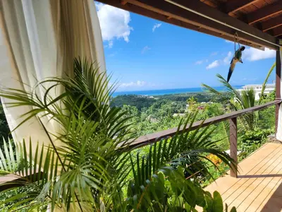Gallery image of Villa Solymar in Las Terrenas