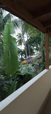 a view of a garden from a window of a house at guest house MY WAY in Las Terrenas