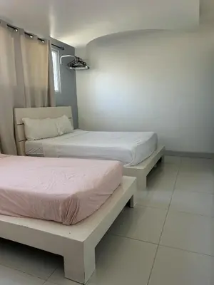 two beds sitting next to each other in a room at Hostel Gato Colonial in Santo Domingo
