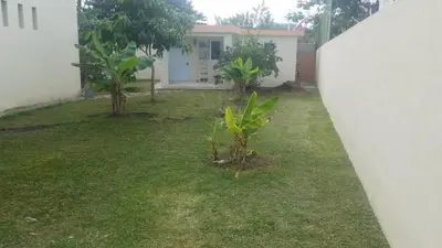 a garden with two trees in front of a house at Casa taina in Jarabacoa