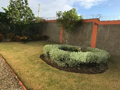 a bush in a yard next to a fence at Beautiful Villa in Boca Chica in Boca Chica