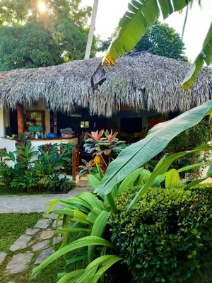 a house with a thatched roof and some plants at Residence Nord Est in Las Terrenas