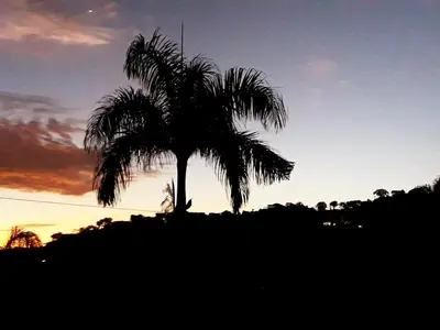 a palm tree on top of a hill at sunset at Casa De Matias in Las Terrenas