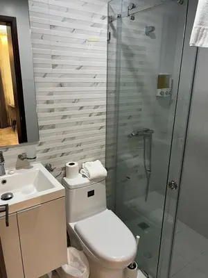 a bathroom with a shower and a toilet and a sink at SOHA SUITES II in Santiago de los Caballeros
