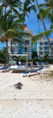a row of lounge chairs on a beach with palm trees at Room beach-front with private bathroom -Adults only in Punta Cana