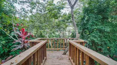 a wooden boardwalk leading into a forest with trees at El Yaguacil villa in Jarabacoa