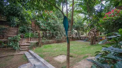 a tree in a yard next to a fence at El Yaguacil villa in Jarabacoa