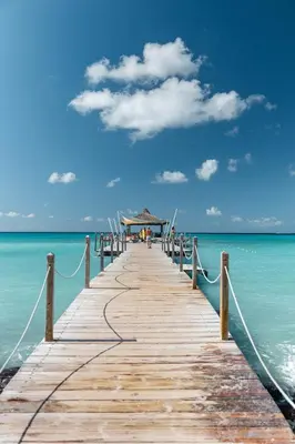 a wooden pier in the ocean with people on it at Hotel Palmera Bayahibe in Bayahibe