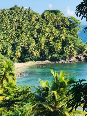 a tropical island with palm trees and a beach at Piece of Paradise in Las Terrenas