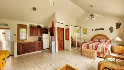 a large bedroom with a bed and a kitchen at Ocean Dream Artist Loft 1st See Line in Cabarete