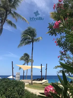 a view of a beach with palm trees and the ocean at Infiniti Blu Luxury Ocean Front Condos in Sosúa