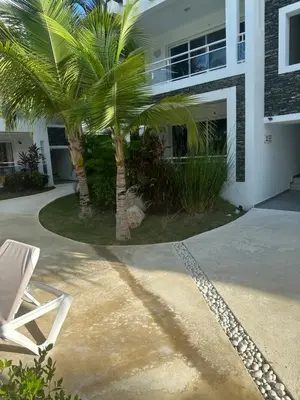 a chair and a palm tree in front of a house at Sunny garden in La Laguna