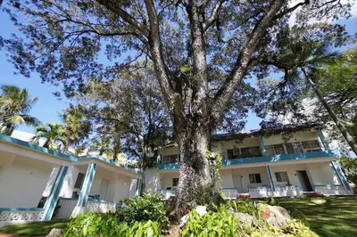 a large white building with a tree in front of it at Room #27 at Waterfront Playa Alicia in Sosúa