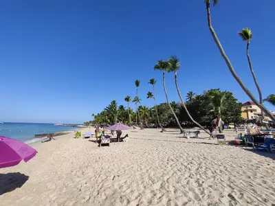 a beach with chairs and umbrellas and the ocean at Family Dominicus Apartment - Bayahibe in Bayahibe